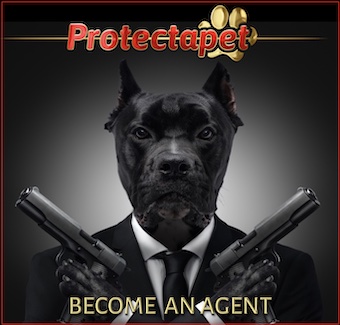 Join us and become a Protecatpet agent or Affiliate.